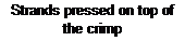 Text Box: Strands pressed on top of the crimp